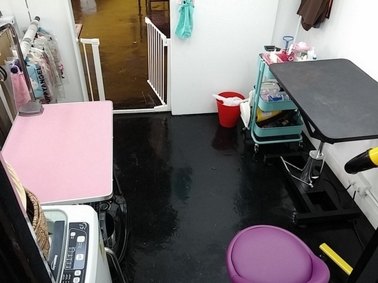大圍婚慶/攝影頂讓