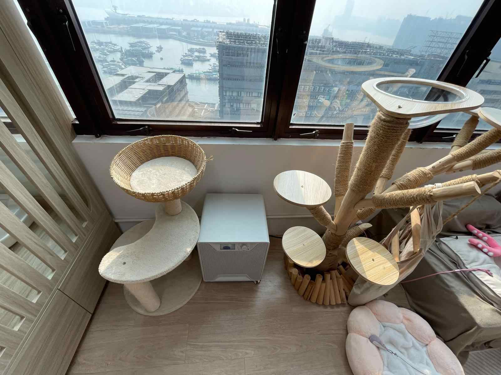 觀塘盈利兼職管理貓酒店