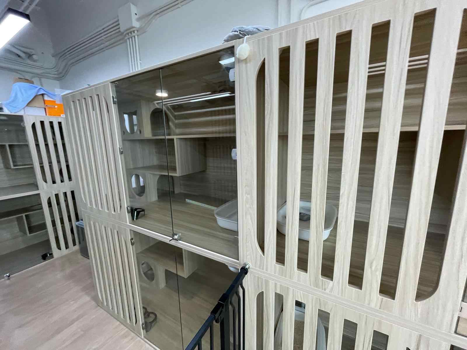 不限寵物頂手