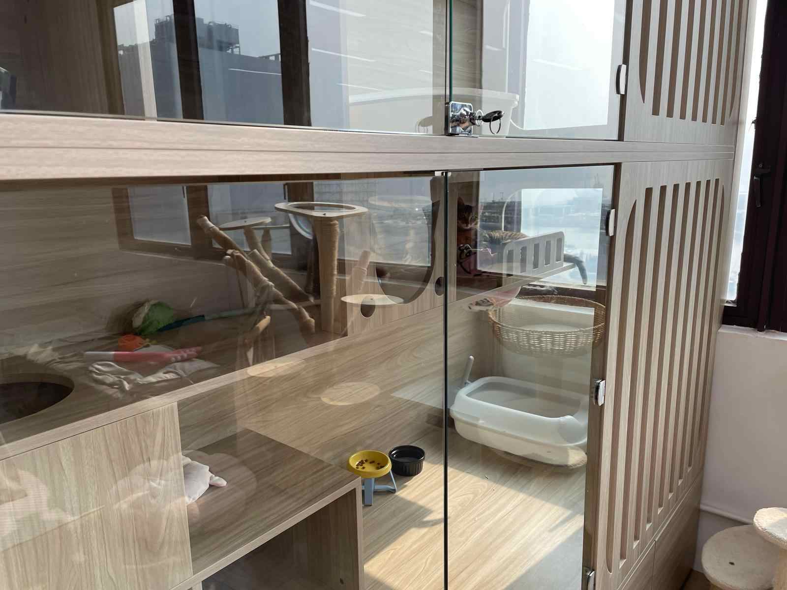 不限寵物
