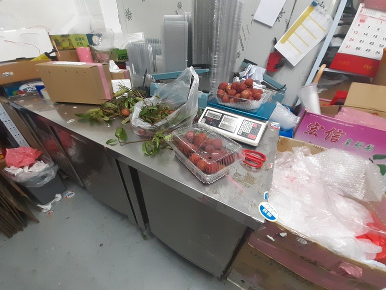 新蒲崗網店