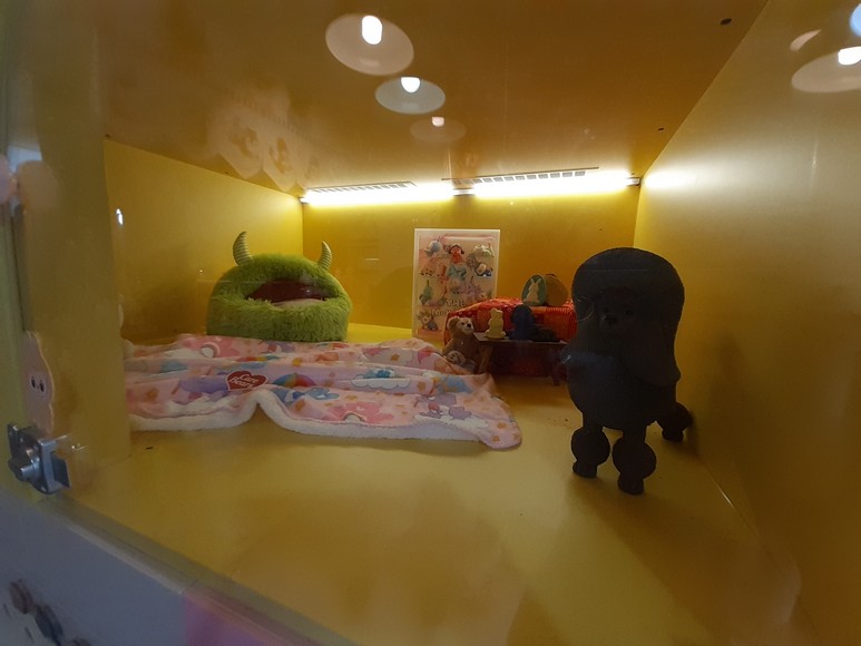 元朗寵物轉讓